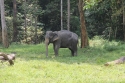 ElephantPark_0015.jpg