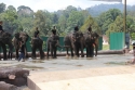 Elephants_0061.jpg
