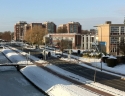 Sneeuw_in_Nederland_0007.jpg