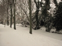 Sneeuw_in_Rijnsburg_0006.jpg
