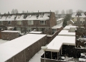Sneeuw_in_Rijnsburg_0121.jpg