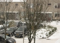 Sneeuw_in_Rijnsburg_0122.jpg